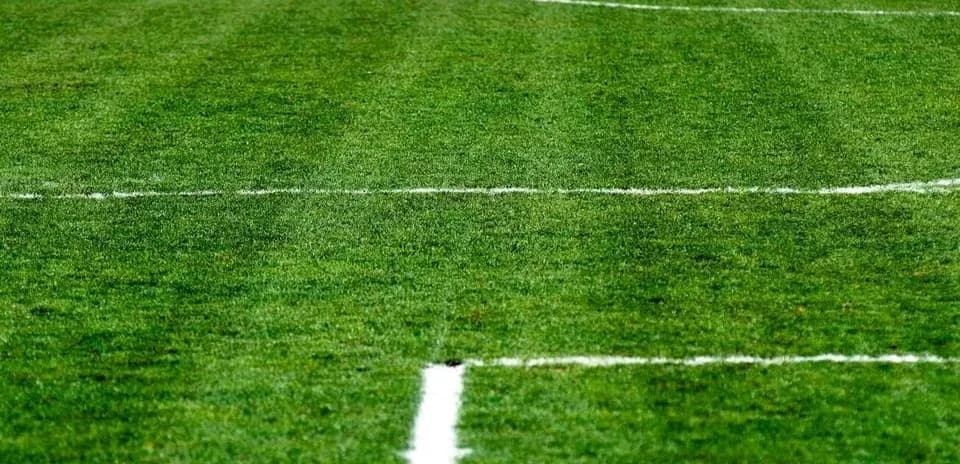 Pelouse de football avec lignes blanches marquées