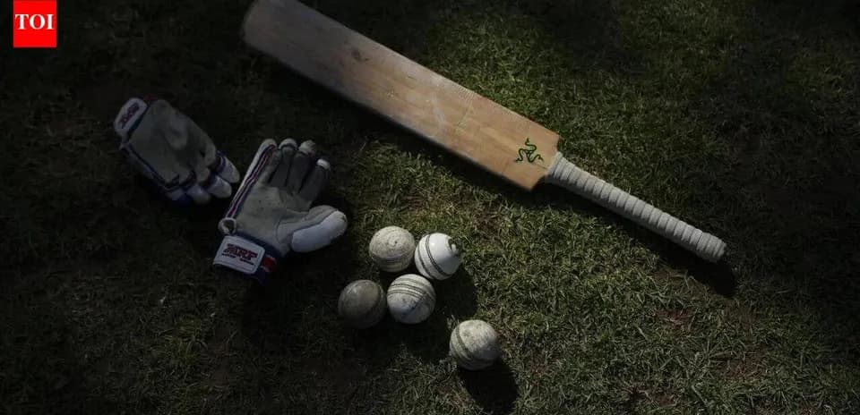 Bat, gloves, and cricket balls on grass