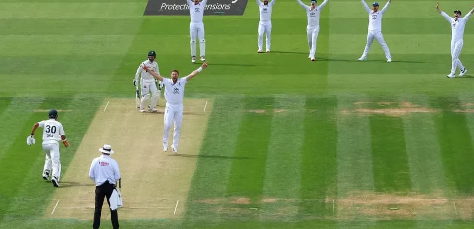 Joueurs célébrant une prise lors d'un match de cricket