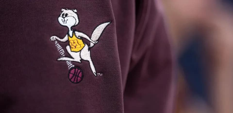 Mascotte de l'équipe de basketball sur un vêtement