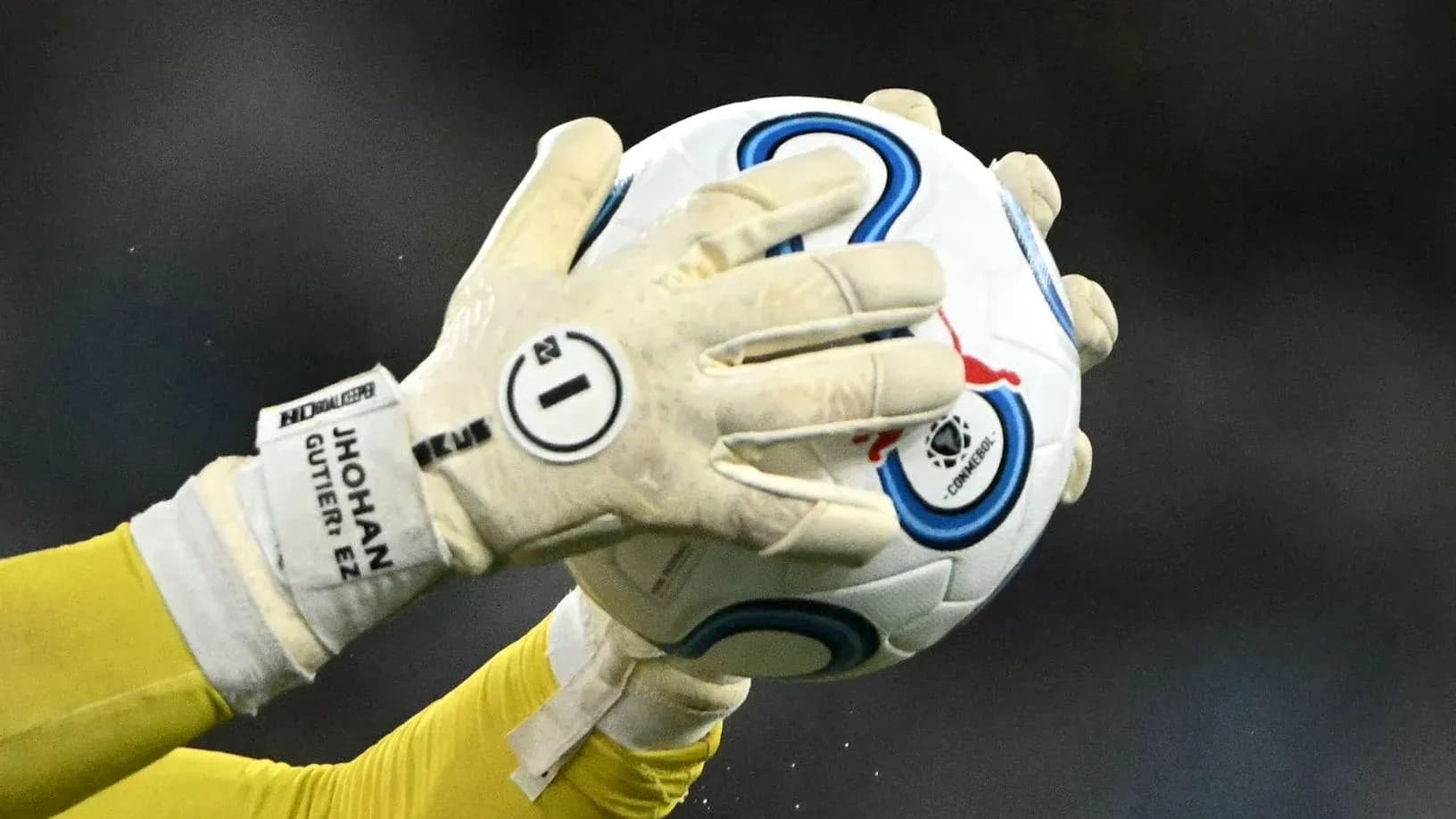 Gardien de but attrapant le ballon avec les gants Gardien de but attrapant le ballon avec les gants