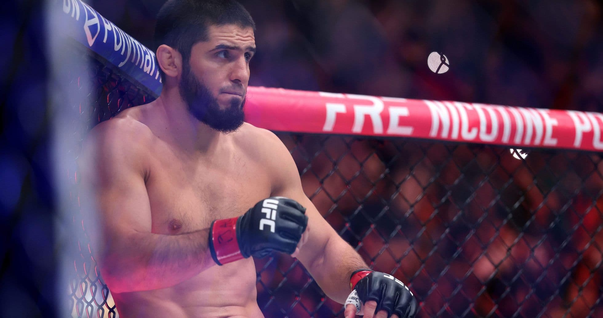 Lutteuse attendant dans la cage de l'UFC Lutteuse attendant dans la cage de l'UFC