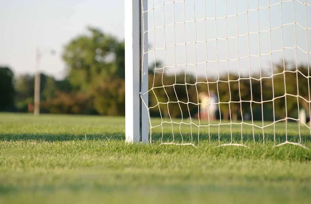 But de football sur un terrain verdoyant But de football sur un terrain verdoyant
