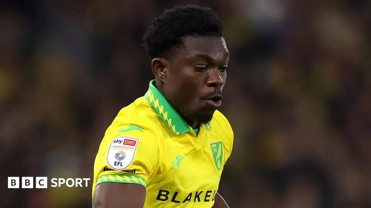 Joueur de Norwich City en action sur le terrain Joueur de Norwich City en action sur le terrain
