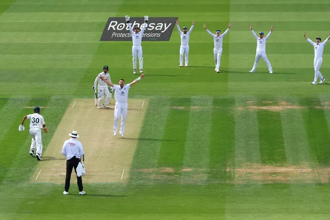 Joueurs célébrant une prise lors d'un match de cricket Joueurs célébrant une prise lors d'un match de cricket