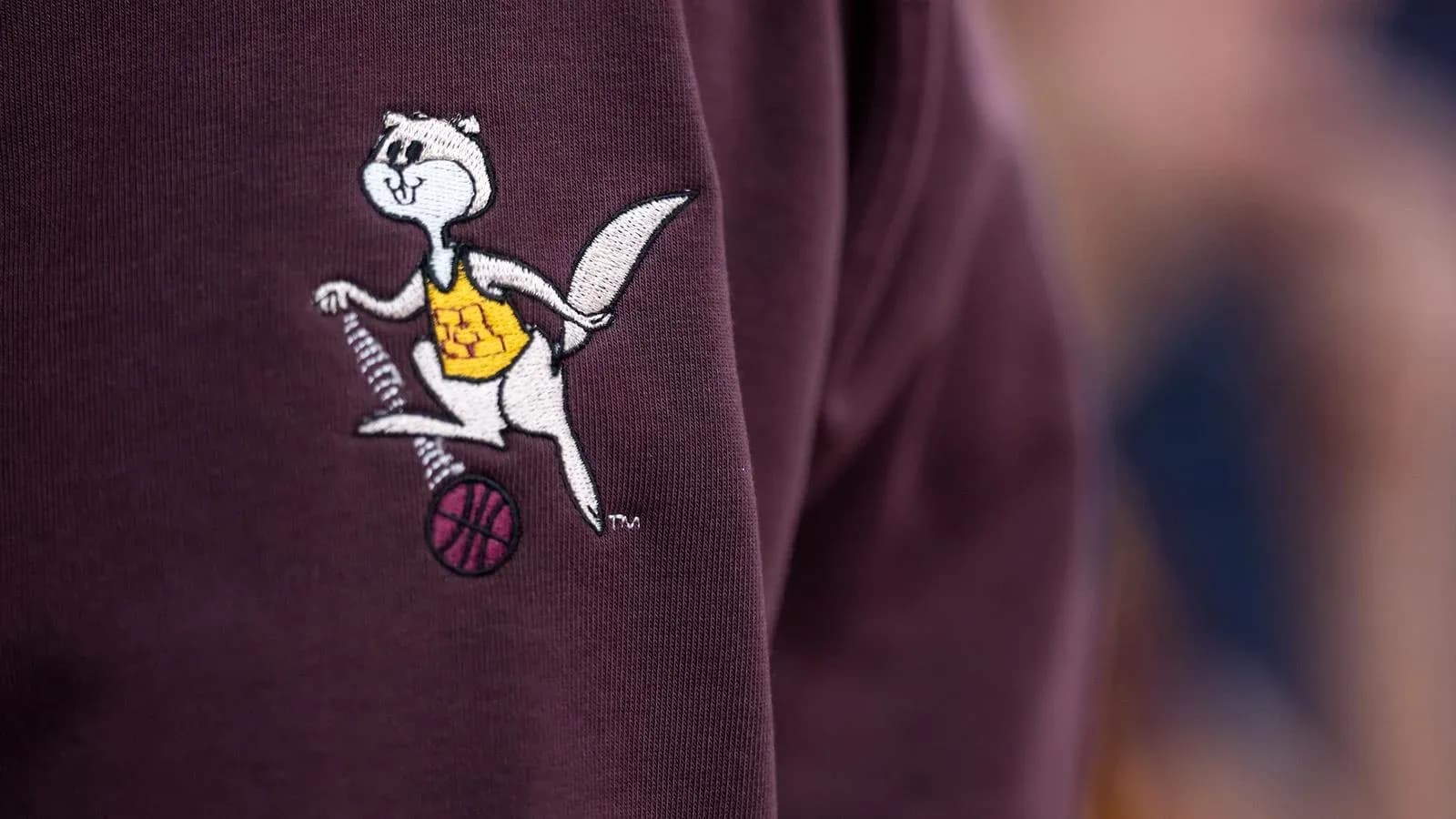 Mascotte de l'équipe de basketball sur un vêtement Mascotte de l'équipe de basketball sur un vêtement